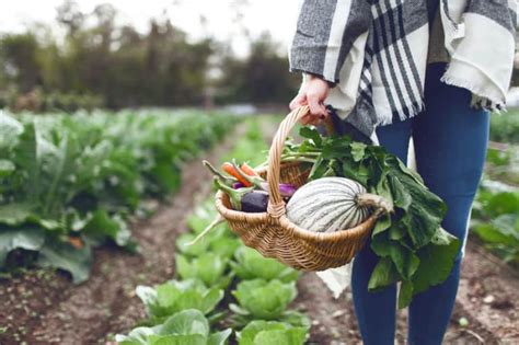 I'm from Japan: What I eat every day for a long life .